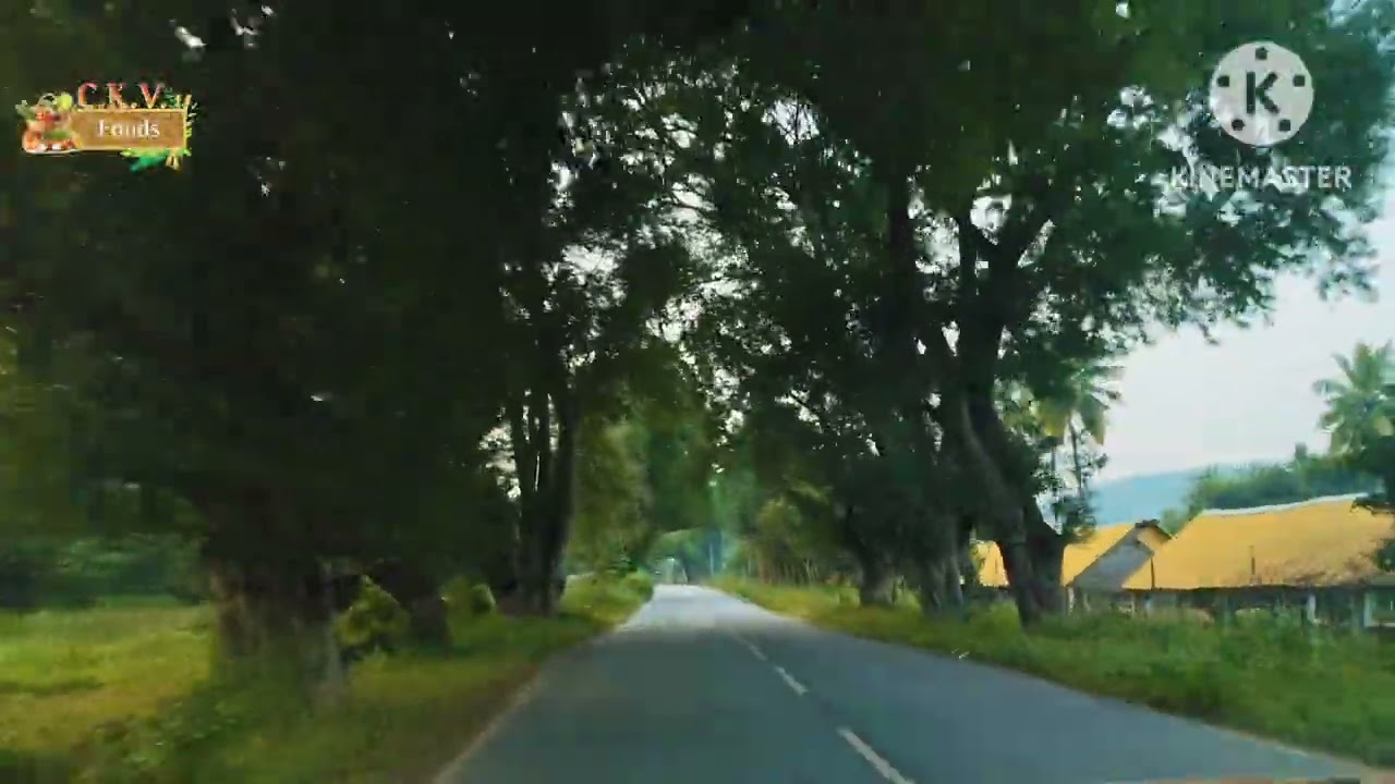  Tamil Nadu Yelagiri  to gudiyatham rodu 🛣️ ఎలాగిరి తమిళనాడు follow like share subscribe 