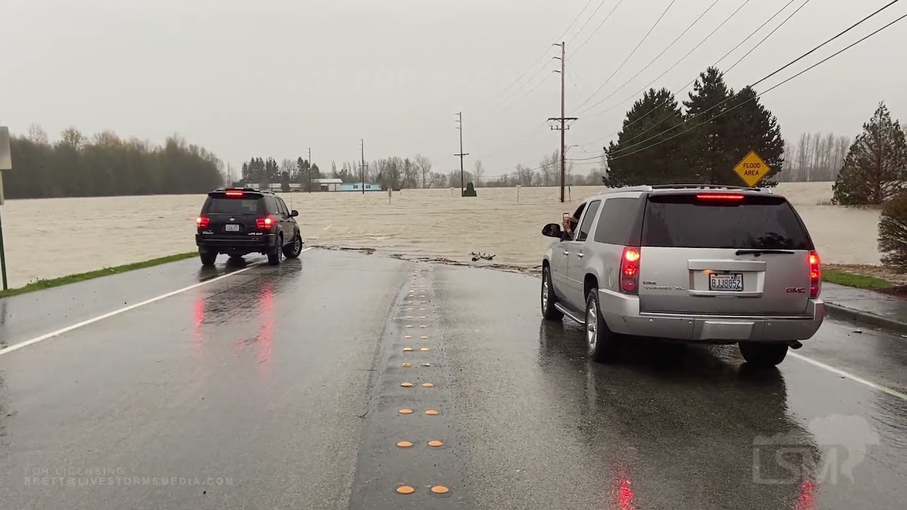 11-15-2021 Lynden, WA Major Flooding on the Nooksack River; Flood Warnings