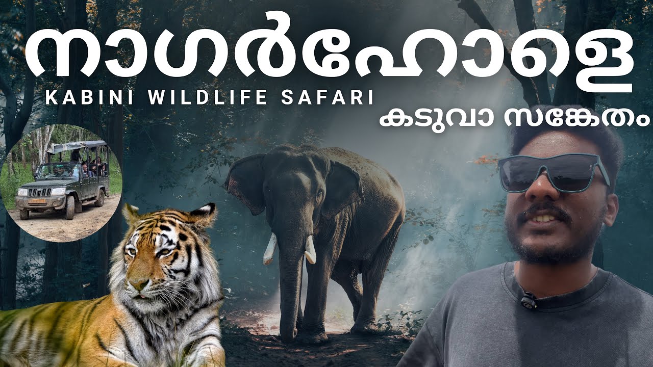 Nagarhole Tiger reserve | A wild safari Adventure | മൃഗങ്ങളെ കണ്ട് കാട്ടിലൂടെ ഒരു യാത്ര | Kabini.