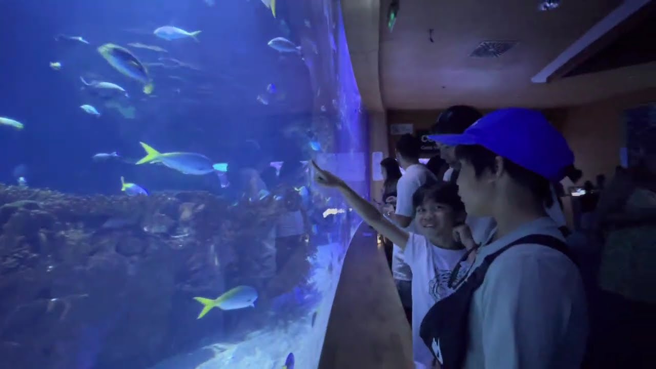 Aquarium Oceanografic valencia