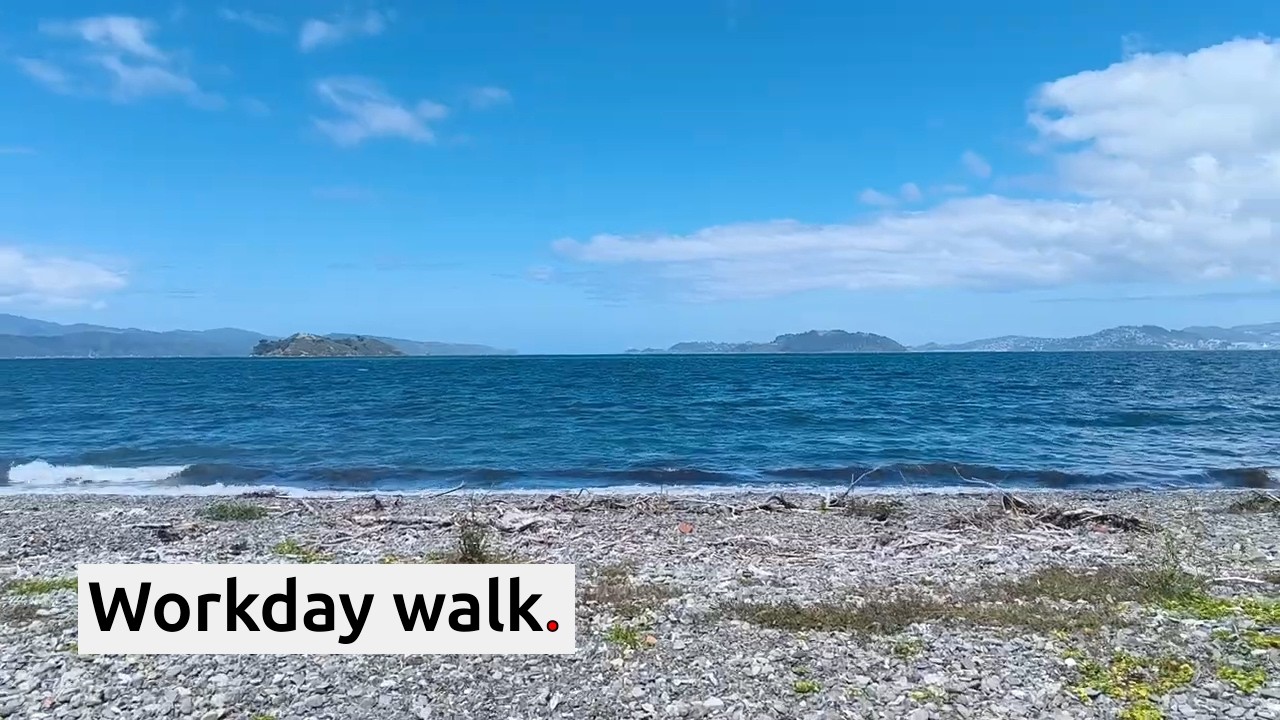 Walking the New Te Ara Tupua Path – Urban Coastline (Sunny Day)