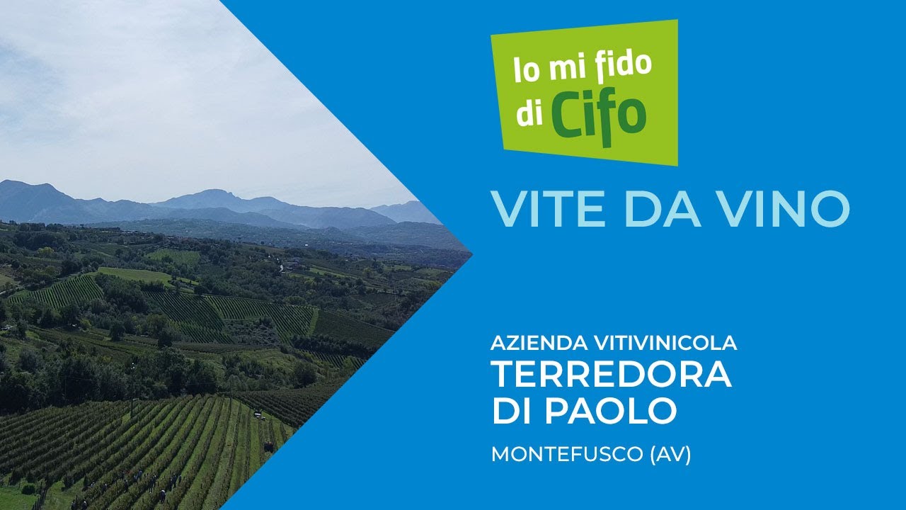 Io mi fido di Cifo | Vite da vino
