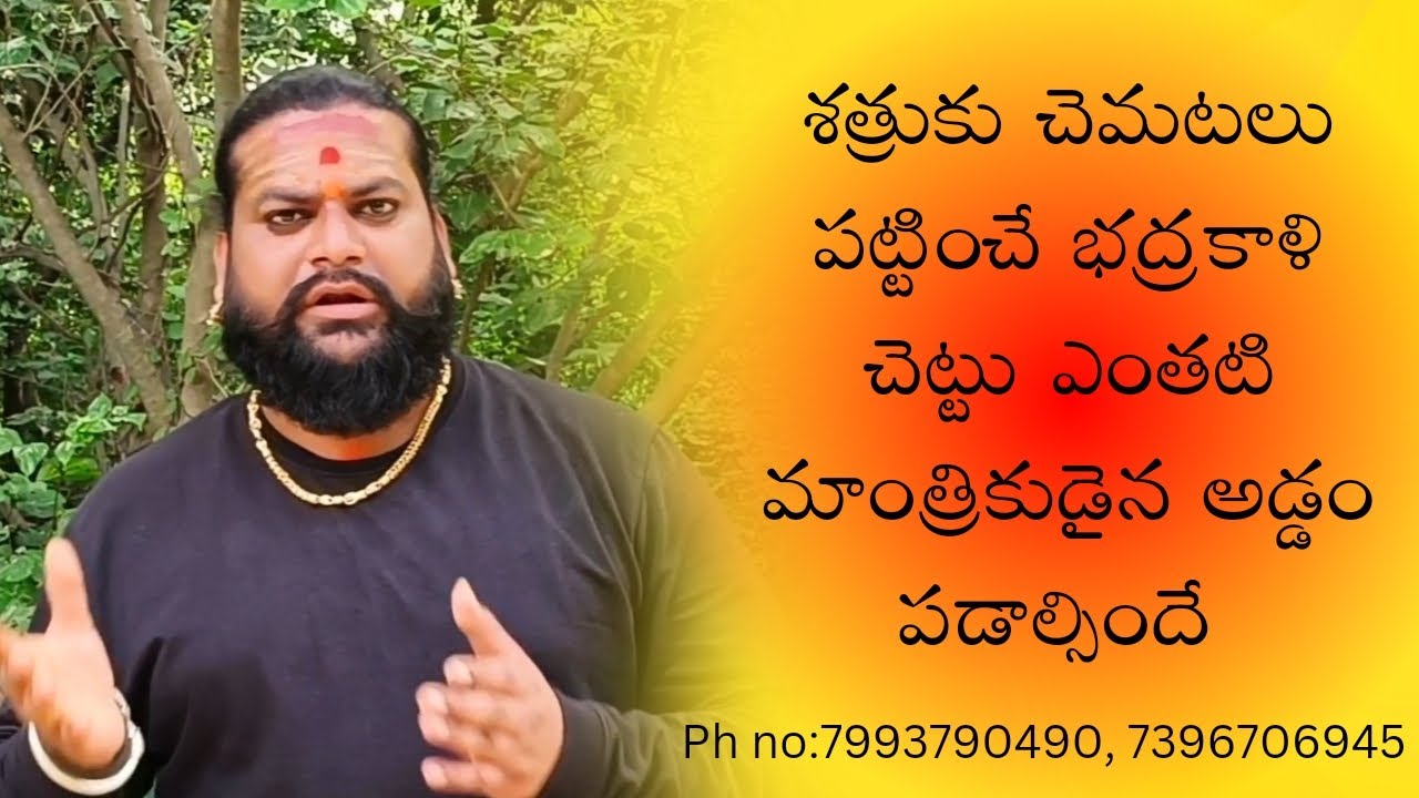 శత్రుకు చెమటలు పట్టించే భద్రకాళి చెట్టు ఇంతటి మాంత్రికుడు అయిన అడ్డంబడాల్సిందే 7396706945 7993790490