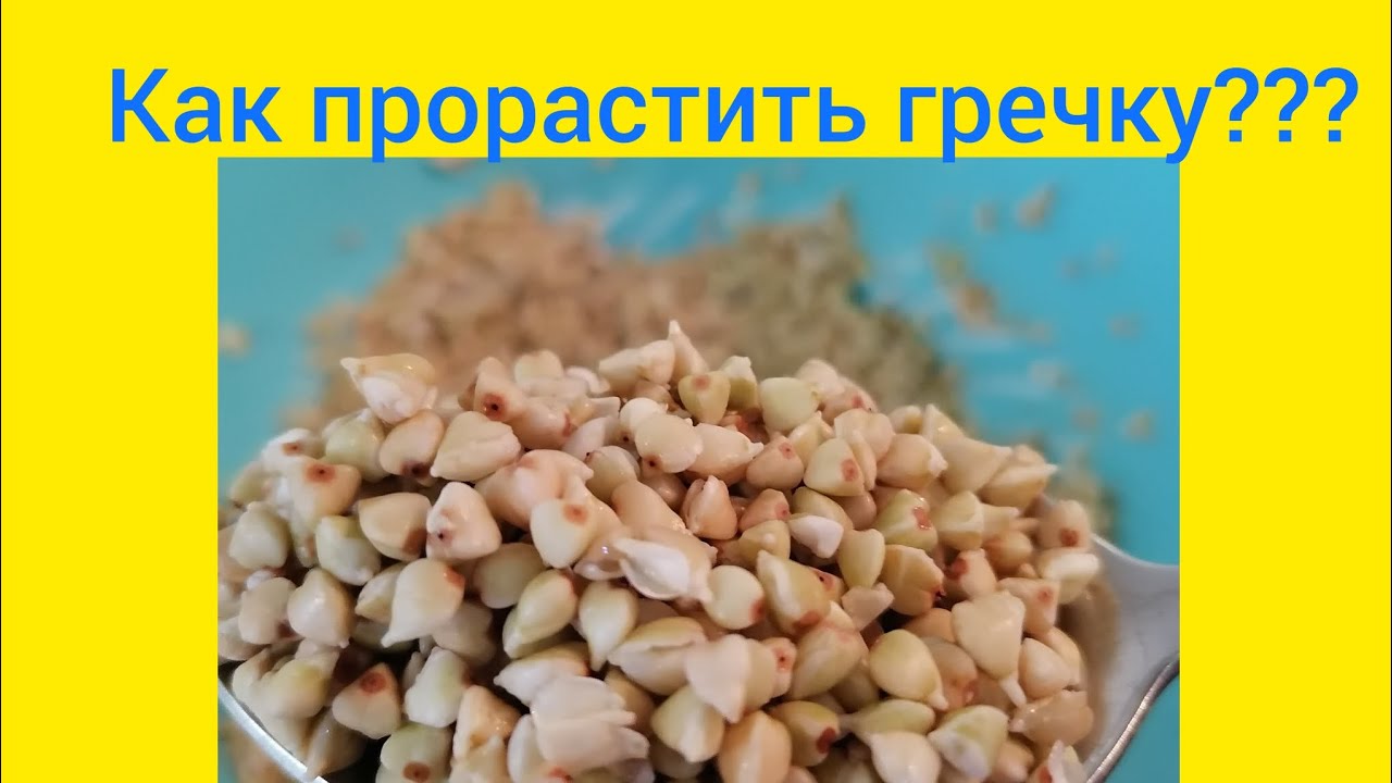 Пророщенная гречка #проростки, #пророщеннаягречка