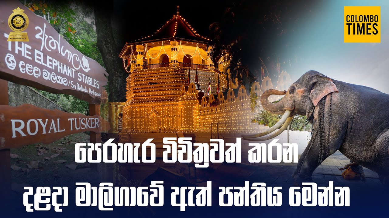 පෙරහැර විචිත්‍රවත් කරන දළදා මාලිගාවේ ඇත් පන්තිය මෙන්න.