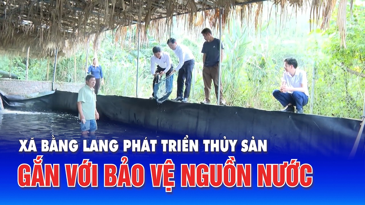 Xã Bằng Lang phát triển thuỷ sản gắn với bảo vệ nguồn nước