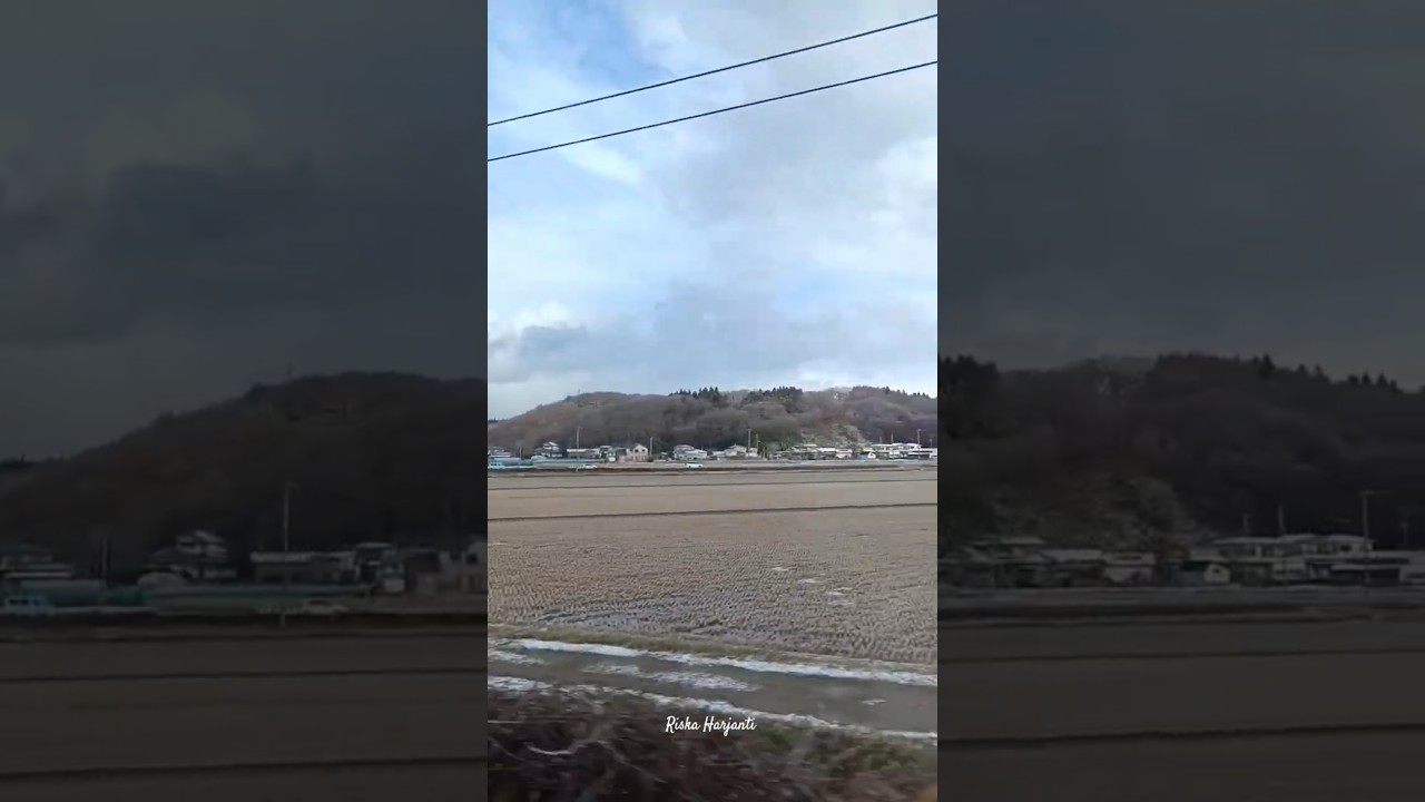 views from Shinkansen 