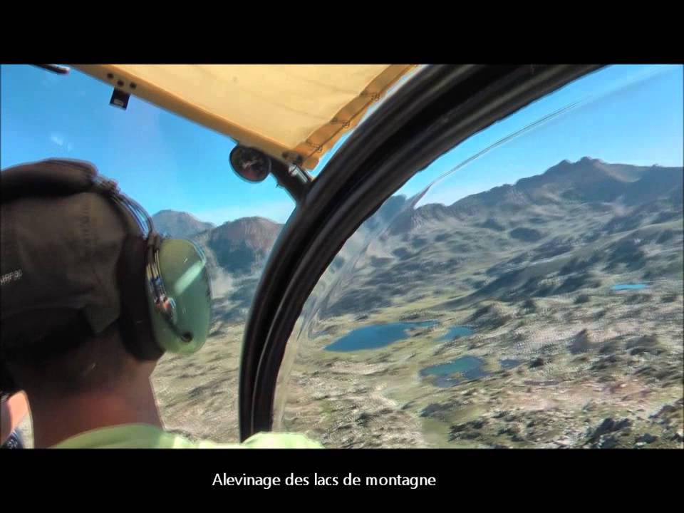 La pêche en Hautes-Pyrénées