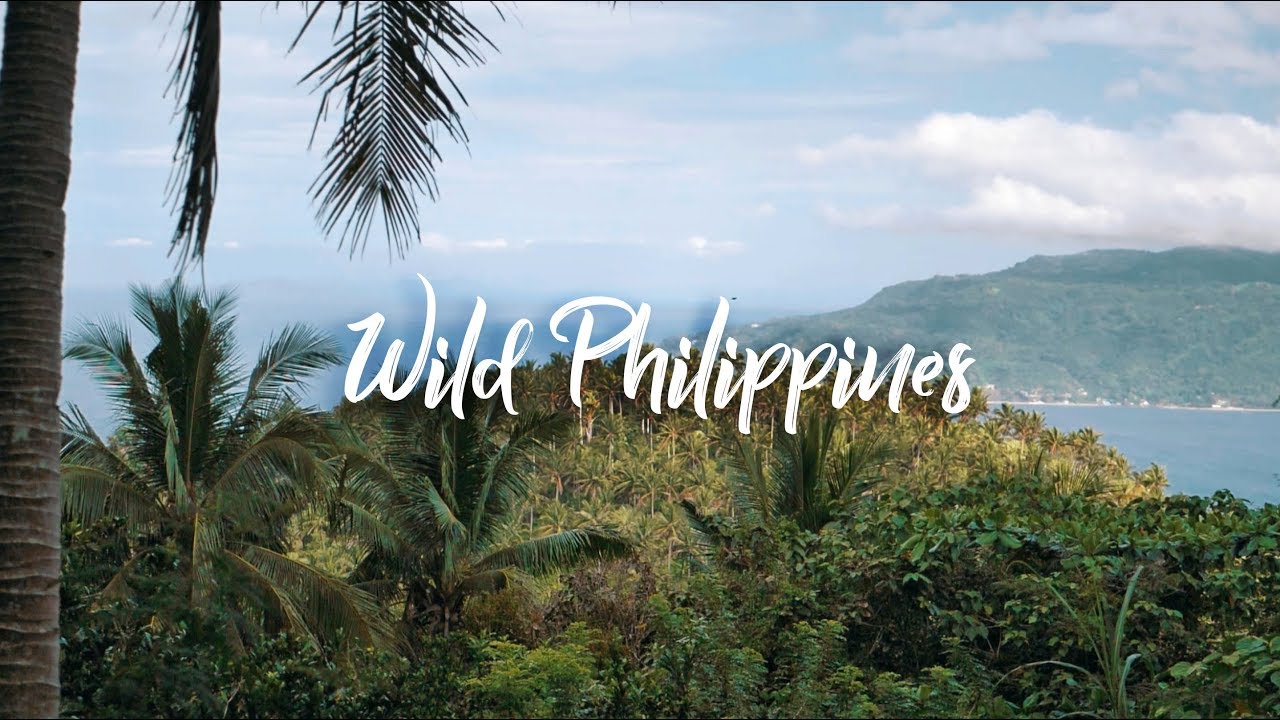 Wild Philippines | Tingloy