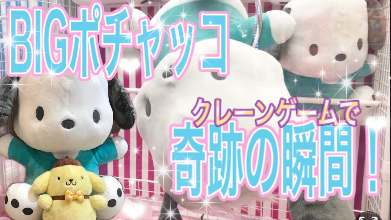 クレーンゲームでBIGポチャッコ、取れるかな？サンリオ縛り！シナモロールも救出！31