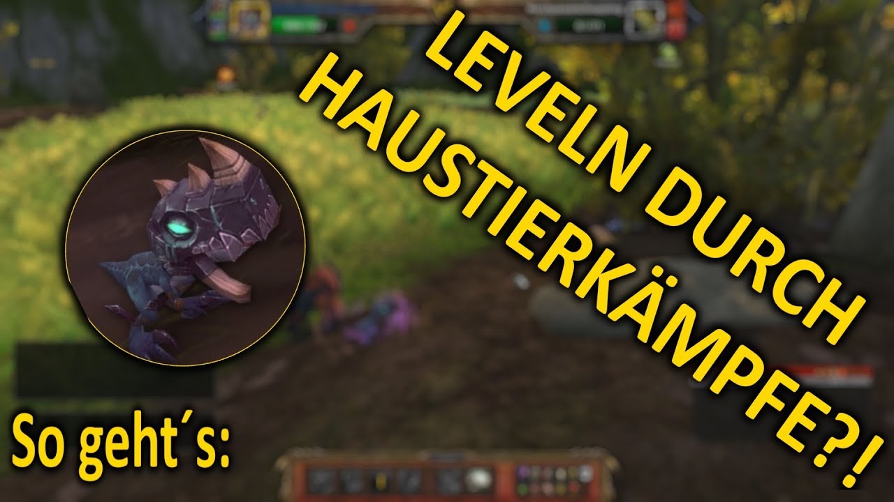 Schnelles Leveln durch Haustierkämpfe?! - So geht´s! | WoW-Levelguide 7.3.2
