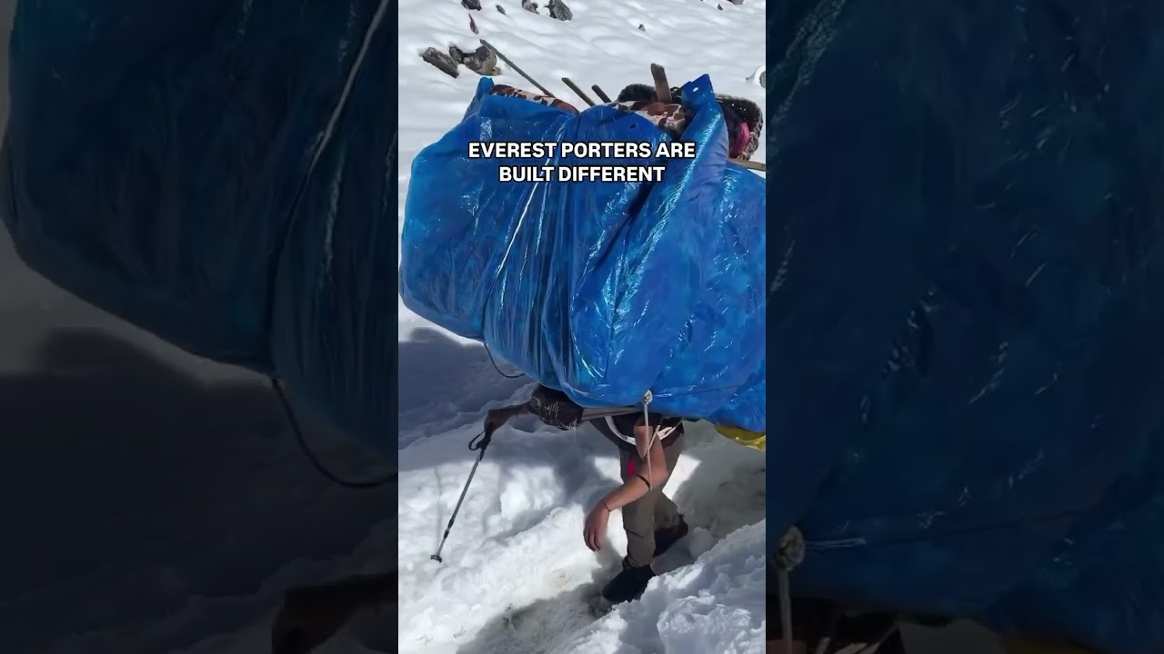 Everest Porters are build different 