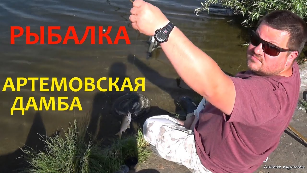 Дневная рыбалка на Артемовской дамбе / Печенеги / 2019