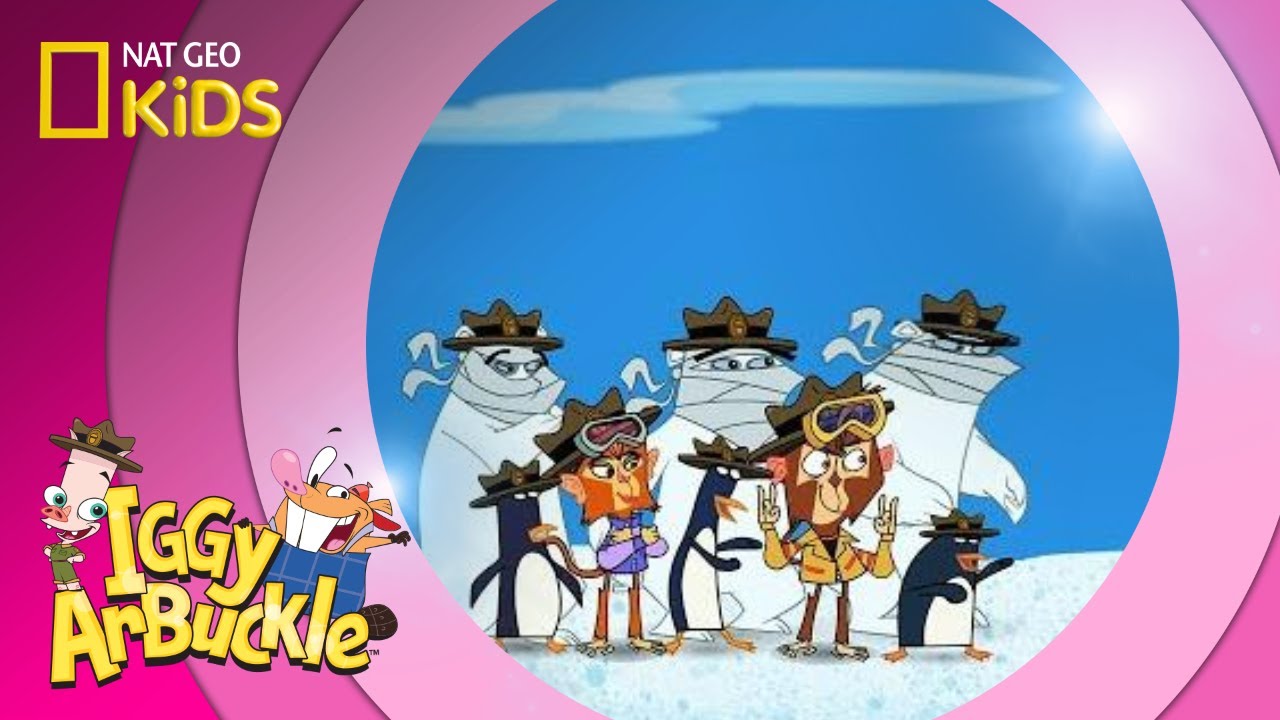 Xtreme Iggy | Iggy Arbuckle