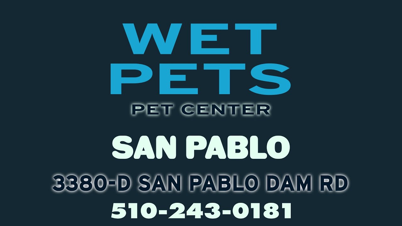 Wet Pets Tribute