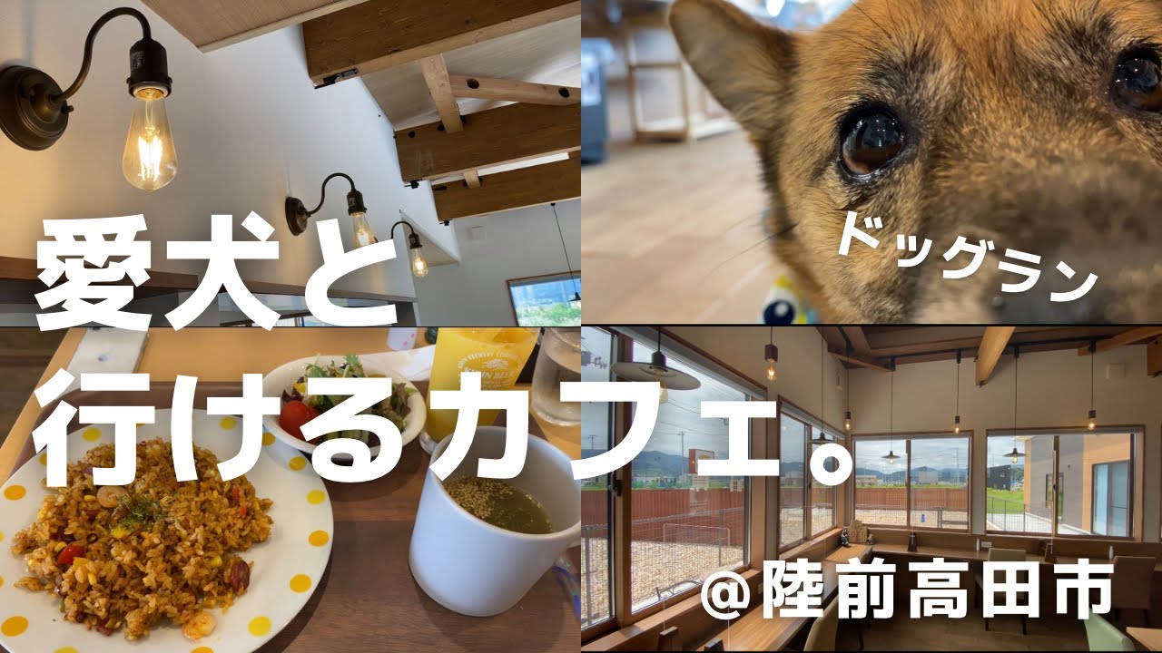【陸前高田市】ランチ｜ドックランのあるカフェ