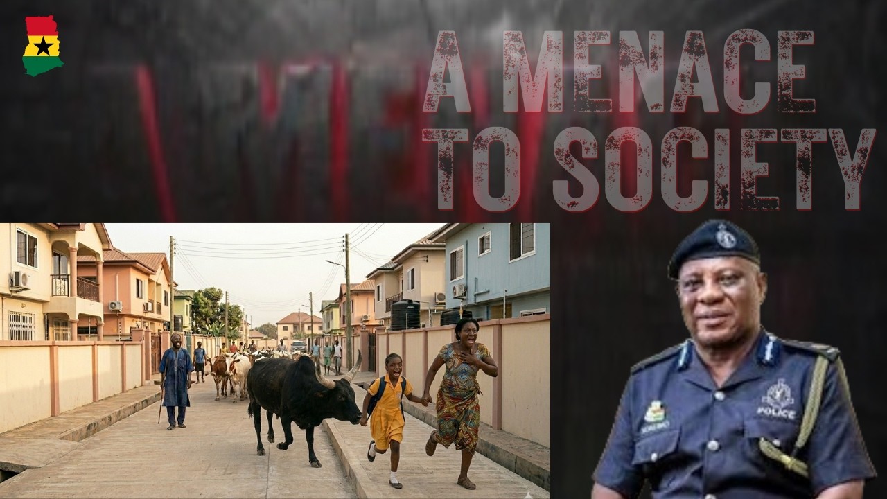 BREAK: ENOUGH IS ENOUGH! 🚨 Accra is a City, NOT a Cattle Ranch! 🐮