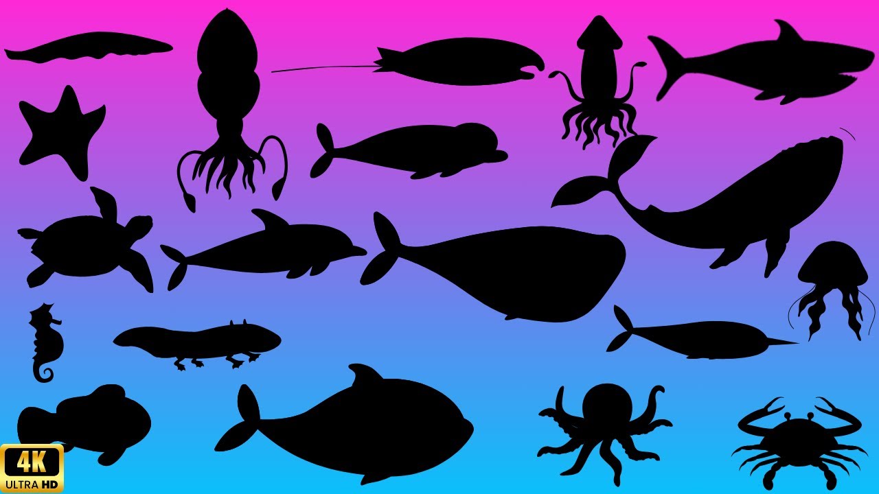 Guess the  sea animal shadow quiz| shadow game|learning sea animals video for kids |Family Fun Time!
