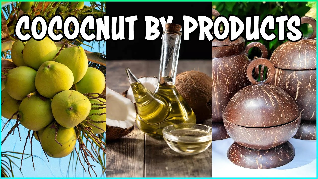 Boost Coconut Farm Income with Byproducts