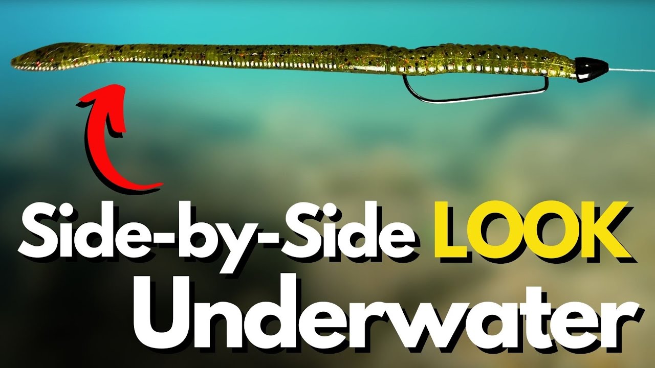 The BEST Texas Rig Worm Tip I Know (Underwater Side-by-Side)
