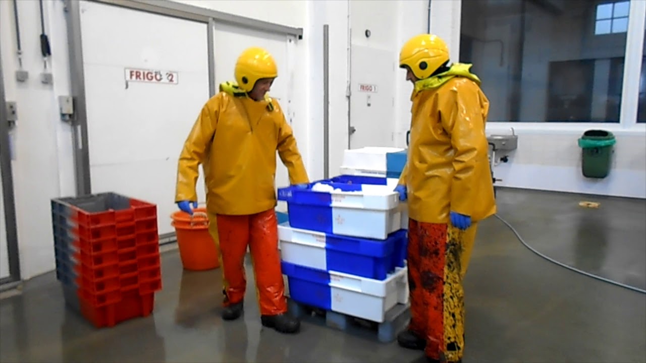 Previs - Instructiefilm tillen van lasten