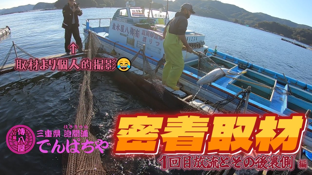【海上釣堀】傳八屋取材②　放流～その裏の仕事まで