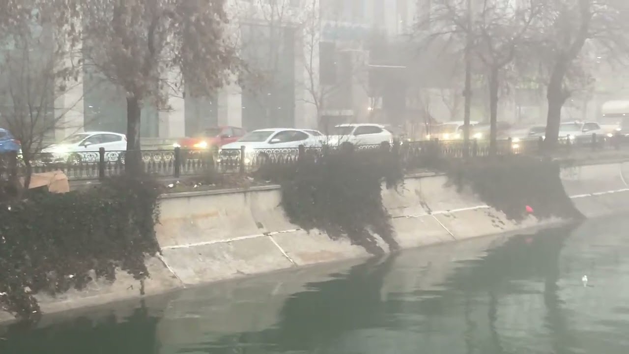 Bucuresti Cotidian 175 - O dimineata cetoasa