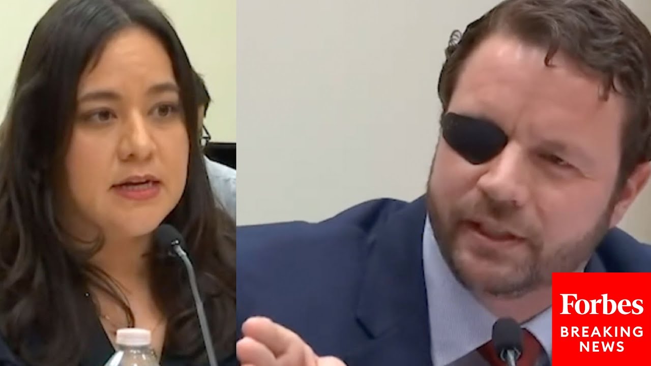 'It's Because It Comes Across The Border, Ms. Garza!': Dan Crenshaw Refutes Witness