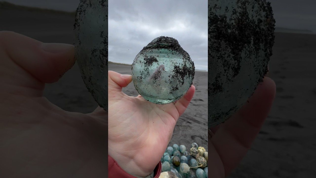 Beach combing in Alaska, we found these Japanese glass fishing floats!