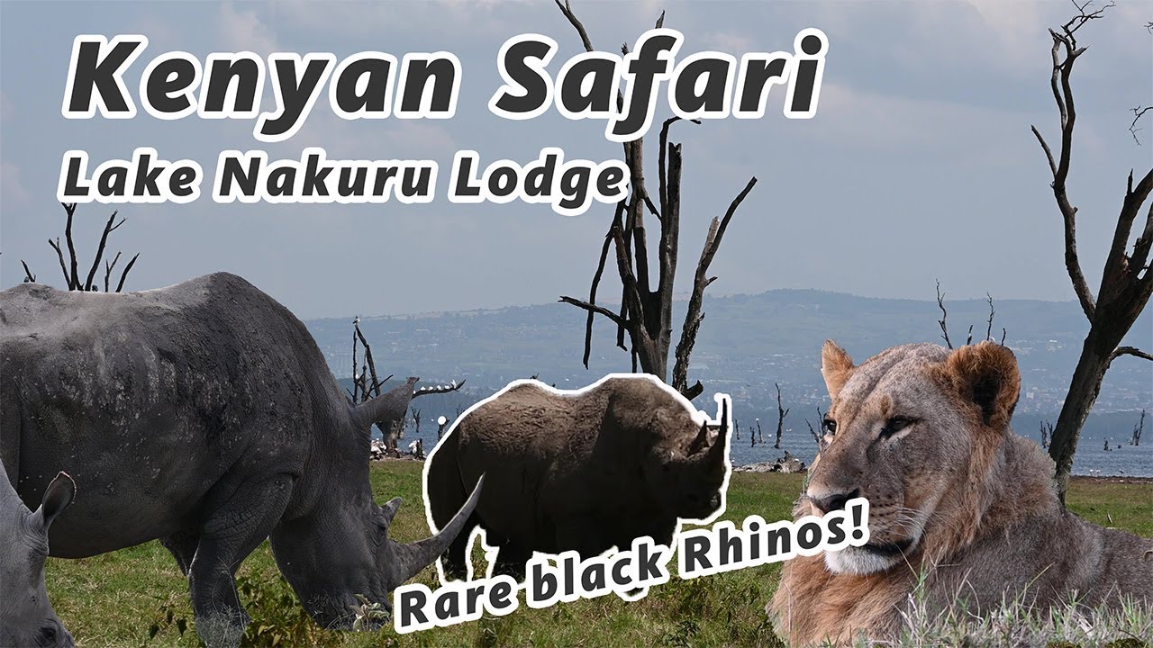 Kenyan Safari Adventure - Lake Nakuru Lodge