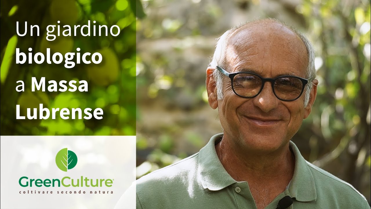 GreenCulture e il giardino bio di Michele Coppola a Massa Lubrense #garden #plants #agriculture