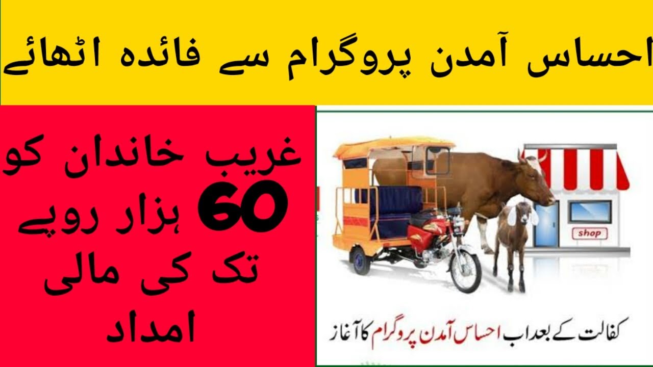 ehsaas amdan program registration open 2020how to apply for ehsaas amdan program