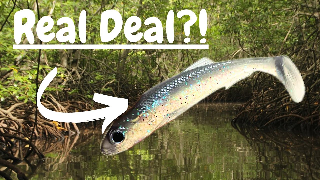 One of the BEST Soft Plastics - Molix RT Shad 4.5 Review