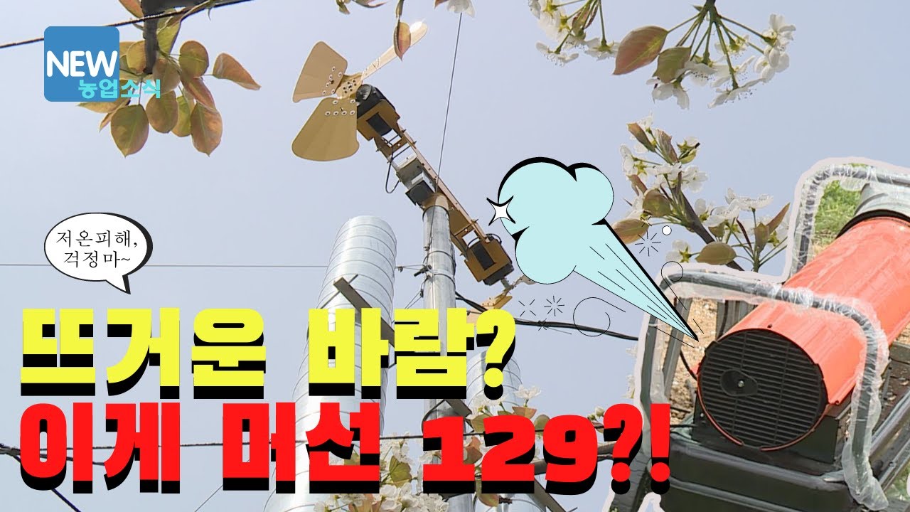 [농업뉴스]열풍방상팬으로 저온피해 줄여보아요!
