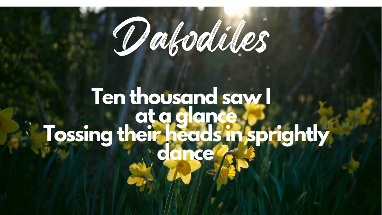 Dancing with Daffodils | William Wordsworth Tribute (Lyrics Video)