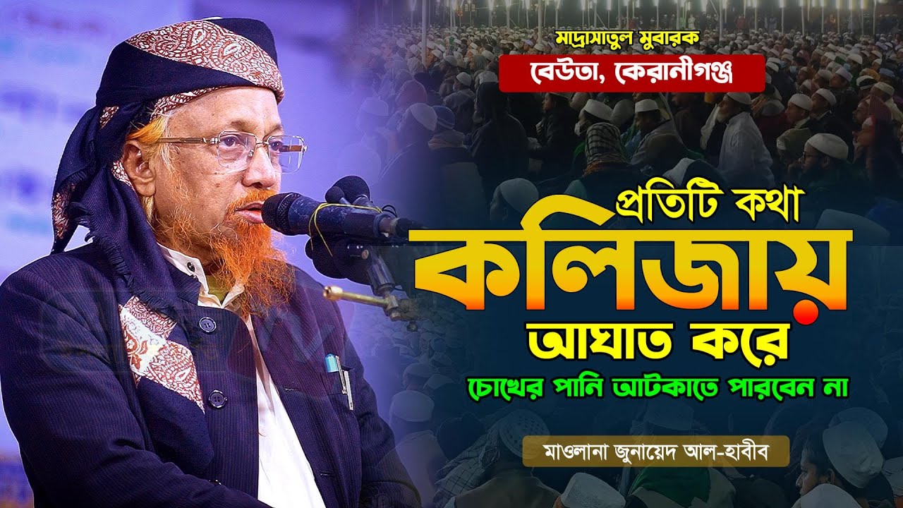 প্রতিটি কথা কলিজায় আঘাত করে || মাওলানা জুনায়েদ আল হাবীব || Allama Junaid Al-Habib || New waz 2025