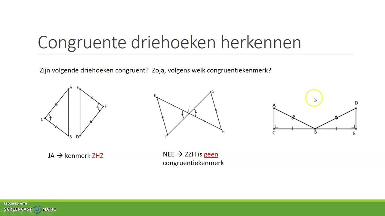 M19 congruente driehoeken