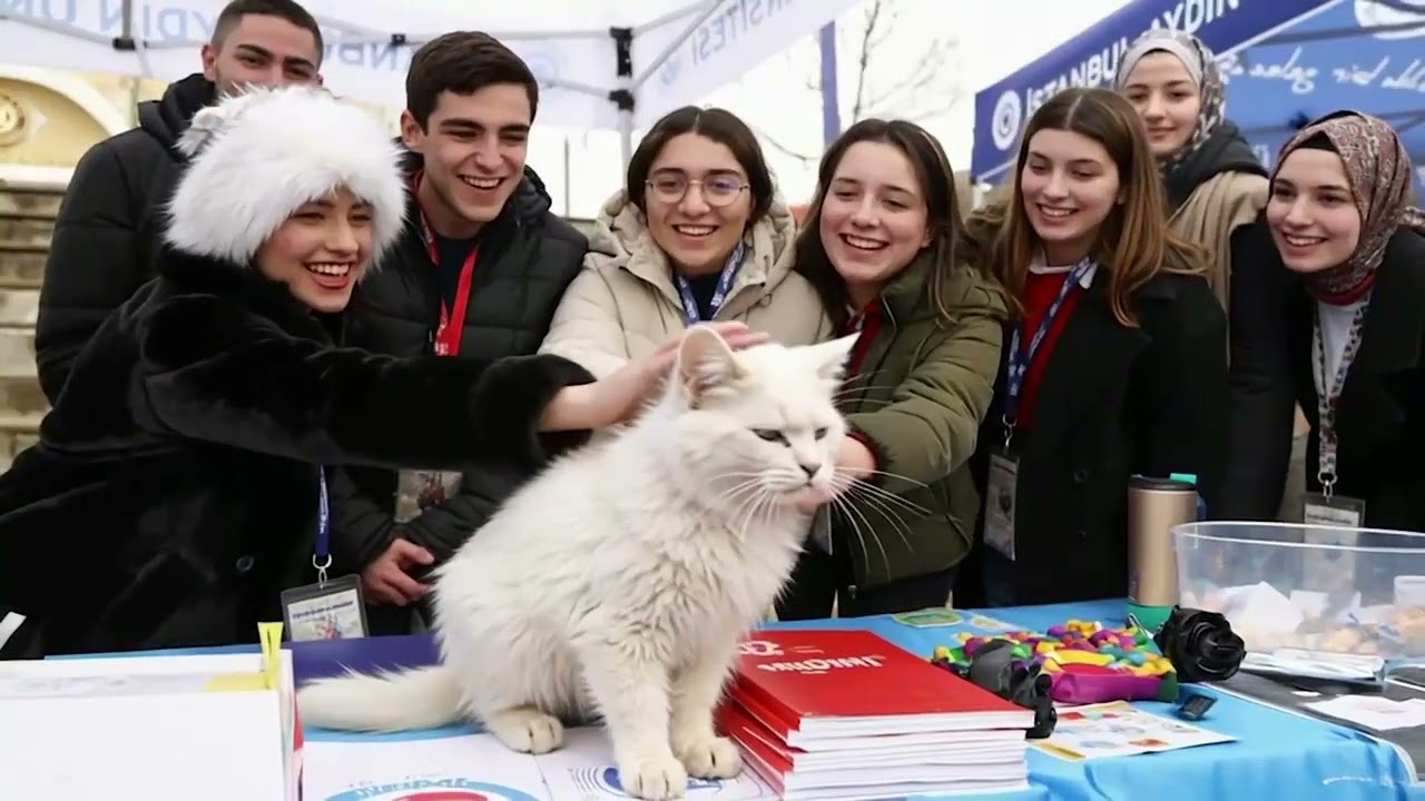 DÜNYA KEDİLER GÜNÜ!