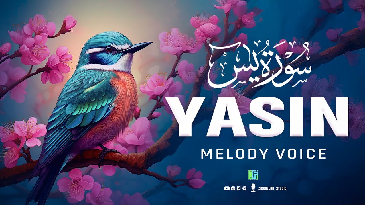 Surah Yaseen (سورة يس) | Heart-Soothing Quran for Restful Sleep & Peace #quranforsleep