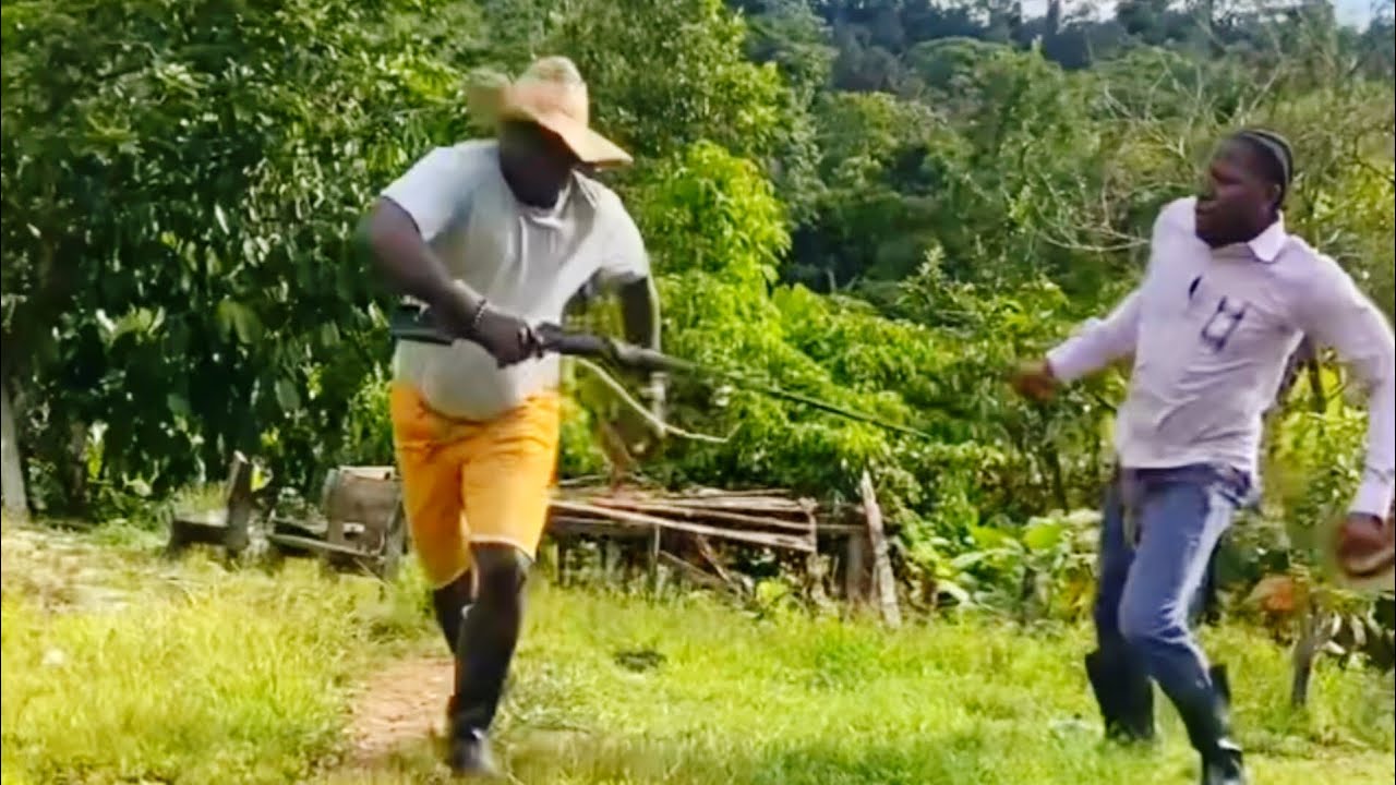 Casi le quema la casa 😂 #comedy #youtubeshorts #humor #shortvideo #reels 