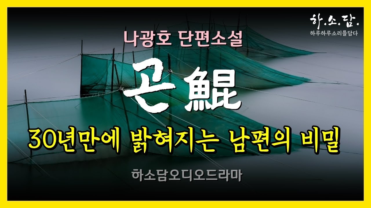 녹록지 않은 결혼생활 30년 만에 밝혀지는 남편의 비밀은? [곤鯤 - 나광호 단편소설] #하소담오디오드라마 | 책읽어주는여자 하소담오디오북