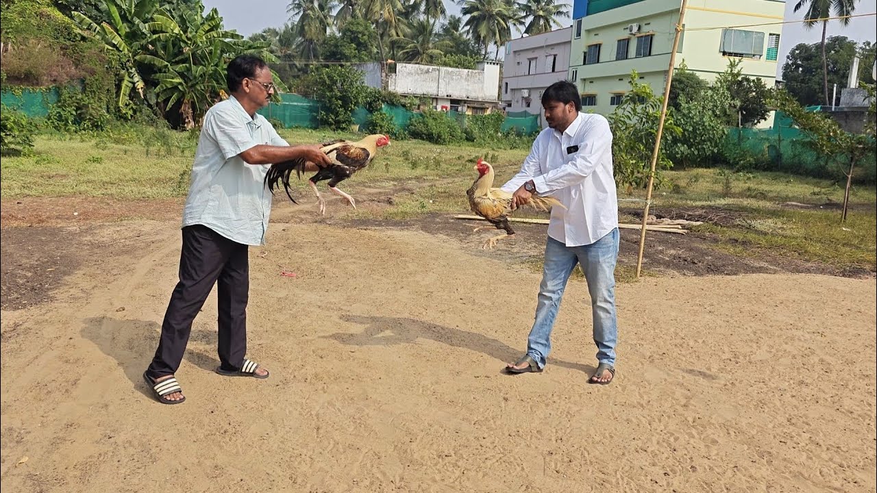 గాదిరాజు సుబ్బరాజు గారి (GSR గారి) మకాం చూసొద్దాం రండి