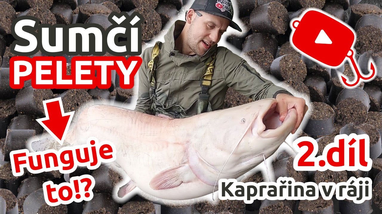LOV SUMCŮ NA PELETY | Co dělat když KAPŘI NEBEROU??? | Kaprařina v r&aacute;ji 2. d&iacute;l