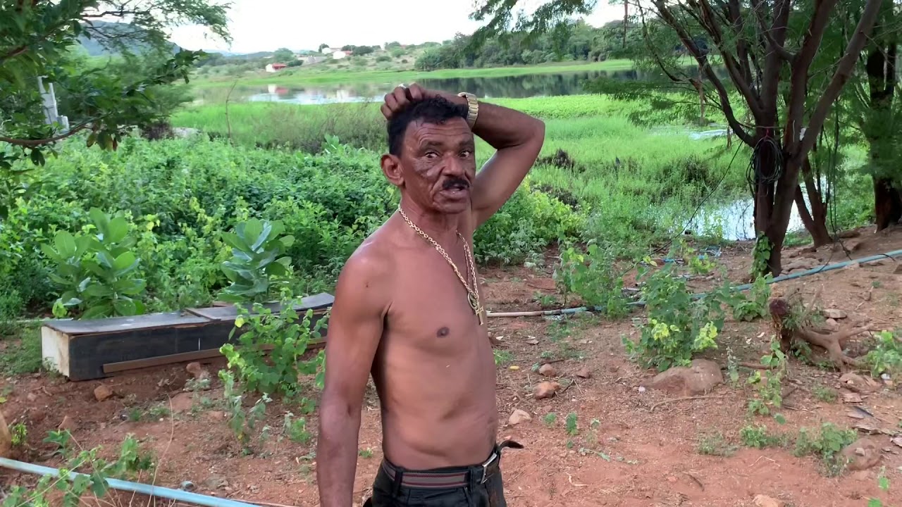 TIRINGA E A DISPUTA DA RAPADURA | COMÉDIA SELVAGEM ®