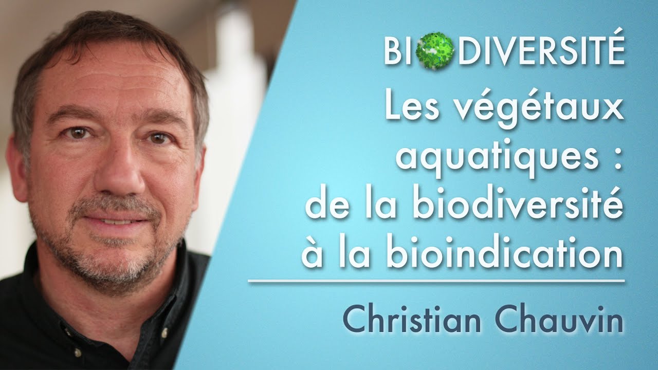 Les végétaux aquatiques : de la biodiversité à la bioindication
