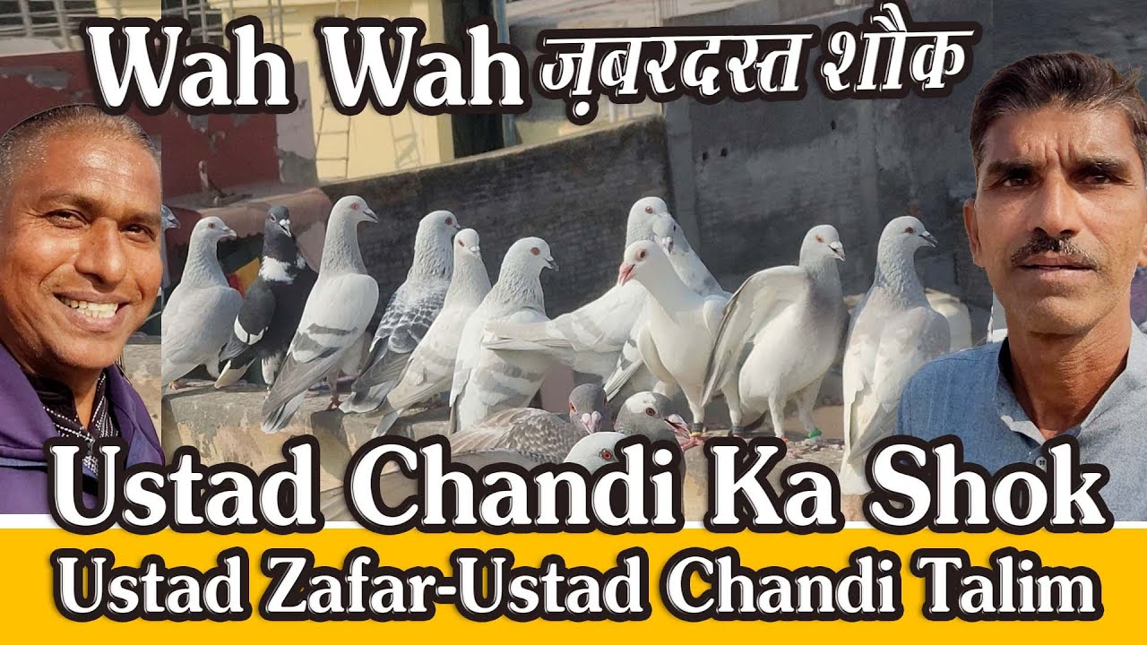 Wah Wah, Ustad Chandi and Khalifa Mazhar Ka Lashkar Daudta Huwa, Lalkuwa, Old Delhi, India