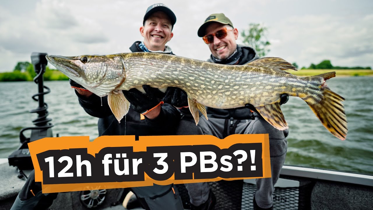 3 PB's an einem Tag?! Angelrookie Peter vs. Zander, Hecht & Barsch!