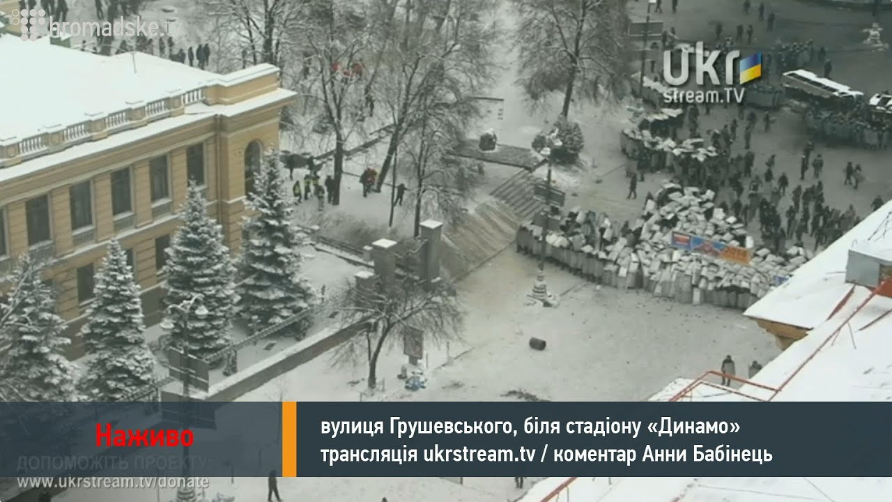 Беркут пішов на штурм Грушевського