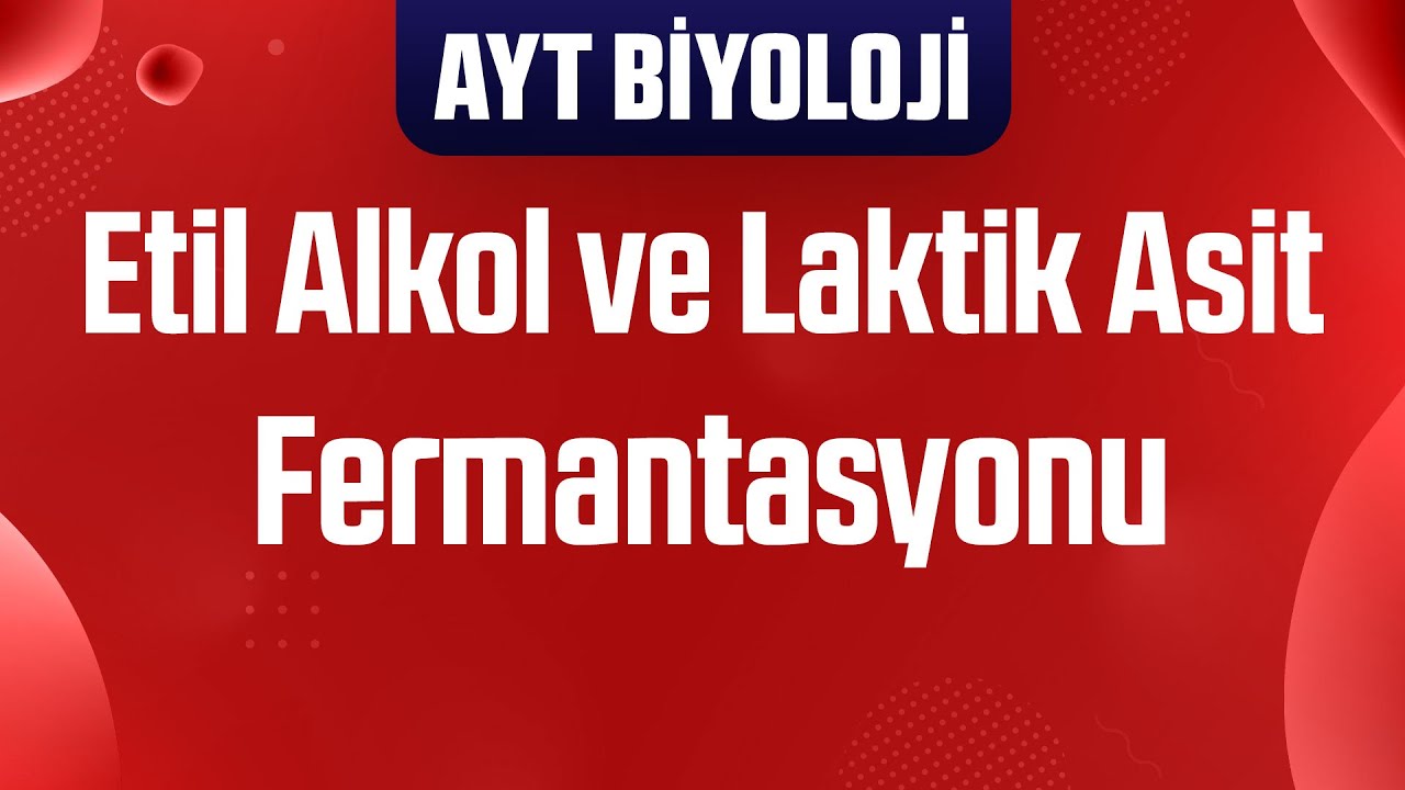43) Etil Alkol ve Laktik Asit Fermantasyonu