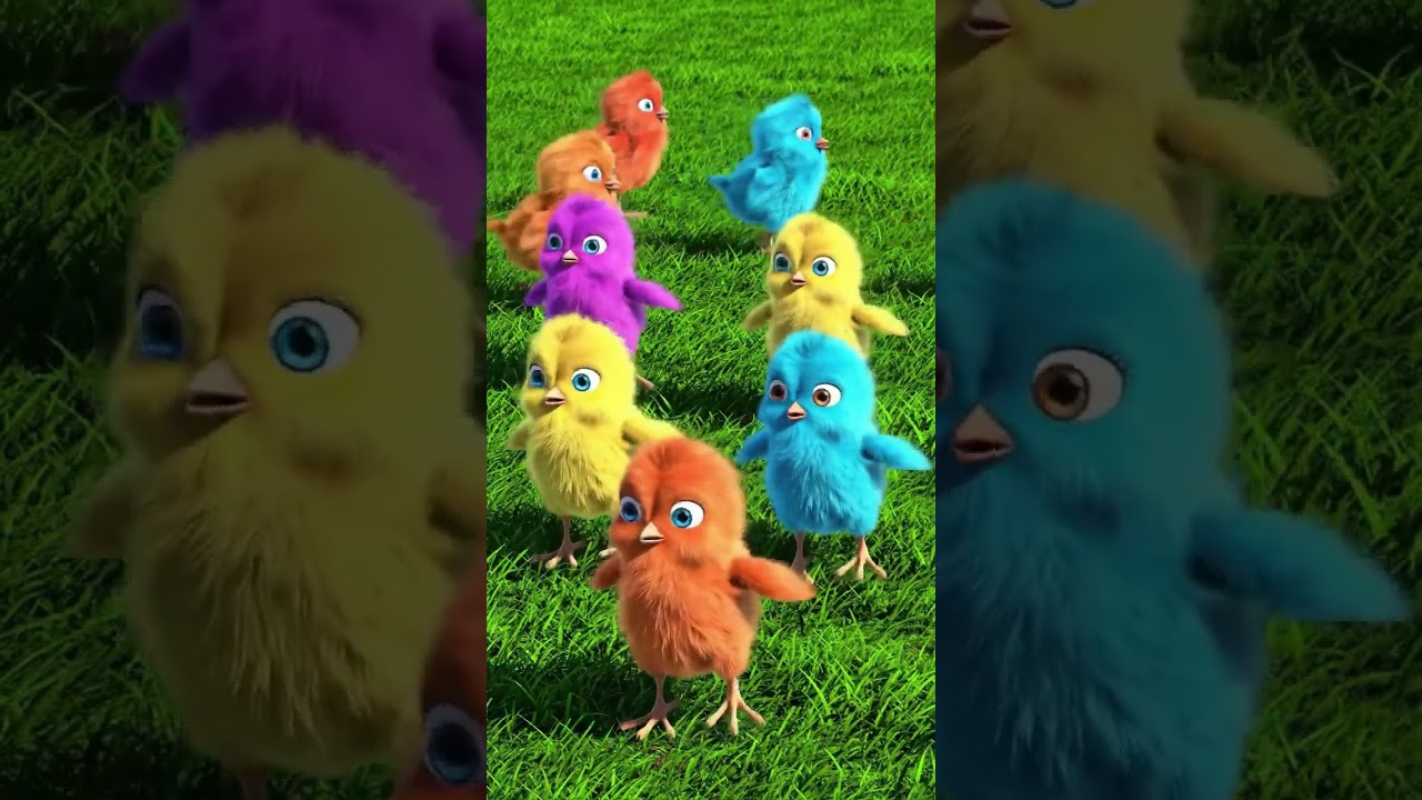 Burung Bernyanyi Bersama #funny #imut #funnyvideos #animasi #lucu #bernyanyi #cartoon #fyp #fypシ゚